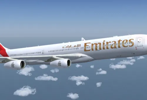 Sri Lankan dies midair