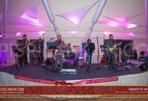 Elephant Entertainment Charity Valentine Night Dinner Dance 2015