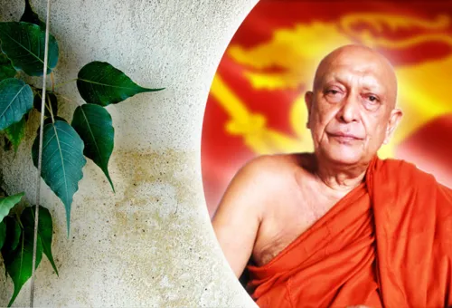 සෝභිත හිමිගේ වියෝව සසුනට හා ජාතියට...