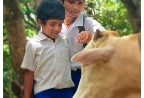 සුළඟ අප රැගෙන යාවි