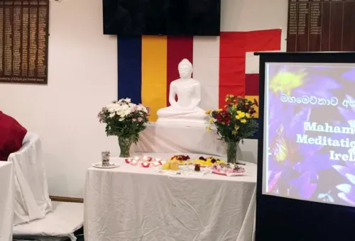 අයර්ලන්තයේ මහමෙව්නාව අසපු ශාඛාවක්...