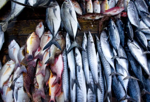 පිටරටදී හරියට නම් දැනගෙන ගිහින්...