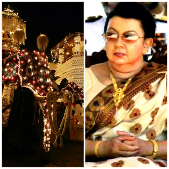 රාජපක්ෂලා දළදා පෙරහැරේ සම්ප්‍රදායත් කඩා දමයි. රන් අම්මණ්ඩිගේ කැරොල් කරත්තක් දළදා පෙරහරේ..