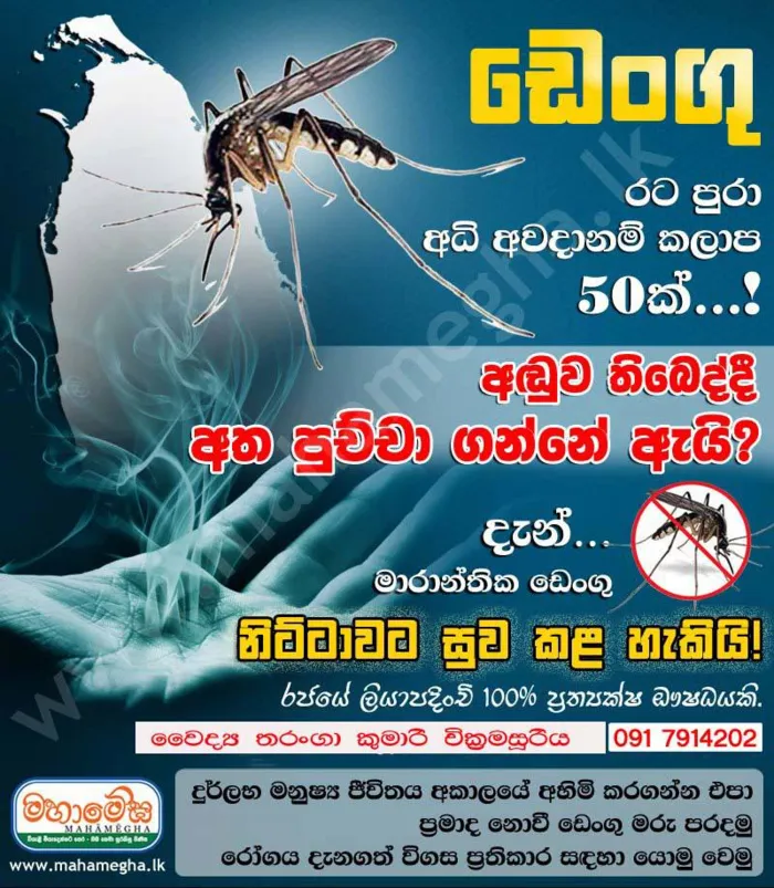 ඩෙංගු මරුවා පරදා තැනු දිව ඔසුව බම්බු ගහන්නද ලෙඩකට දෙන්නේ නැතුව
