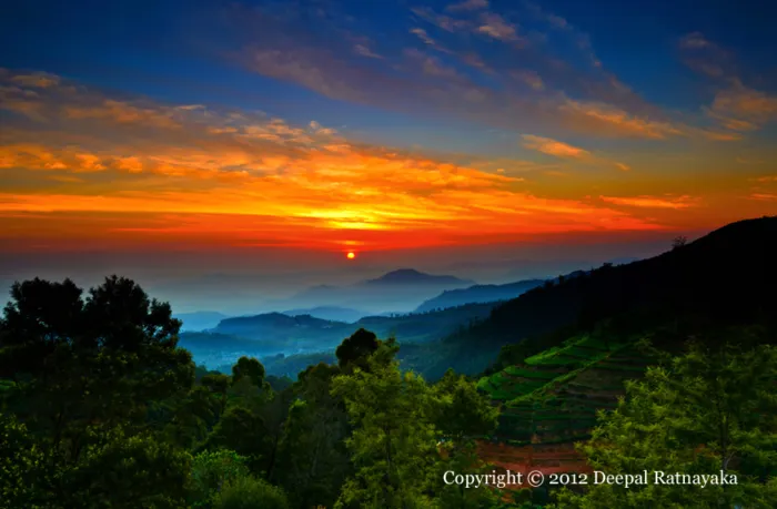 Sri lankan is finally starting look like its old self