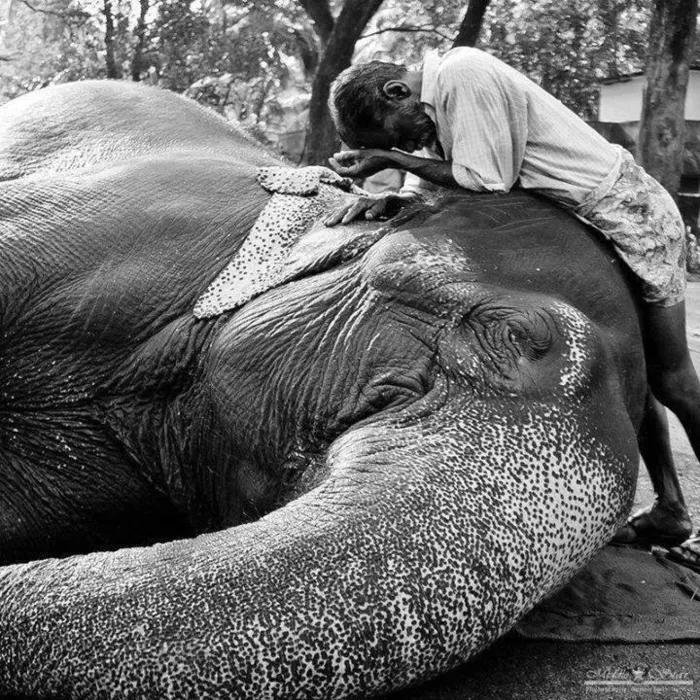 නික්ම යෑම..... - ලන්ඩන් කවි 