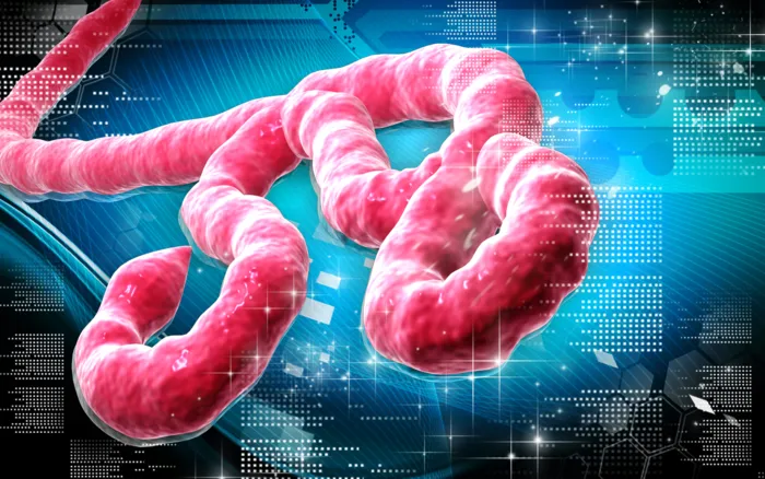 What Makes The Ebola Virus So Deadly?