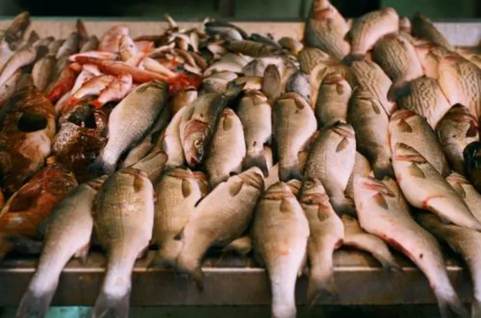 EU suspends import of Sri Lanka’s fish; local prices to tumble