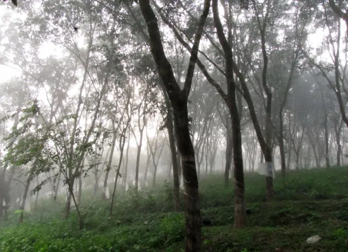 යටඳොලවත්ත 2 - රතු මහත්තයා......