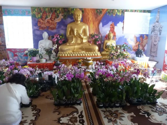 පැරිස් විහාරයට 26 වසරයි