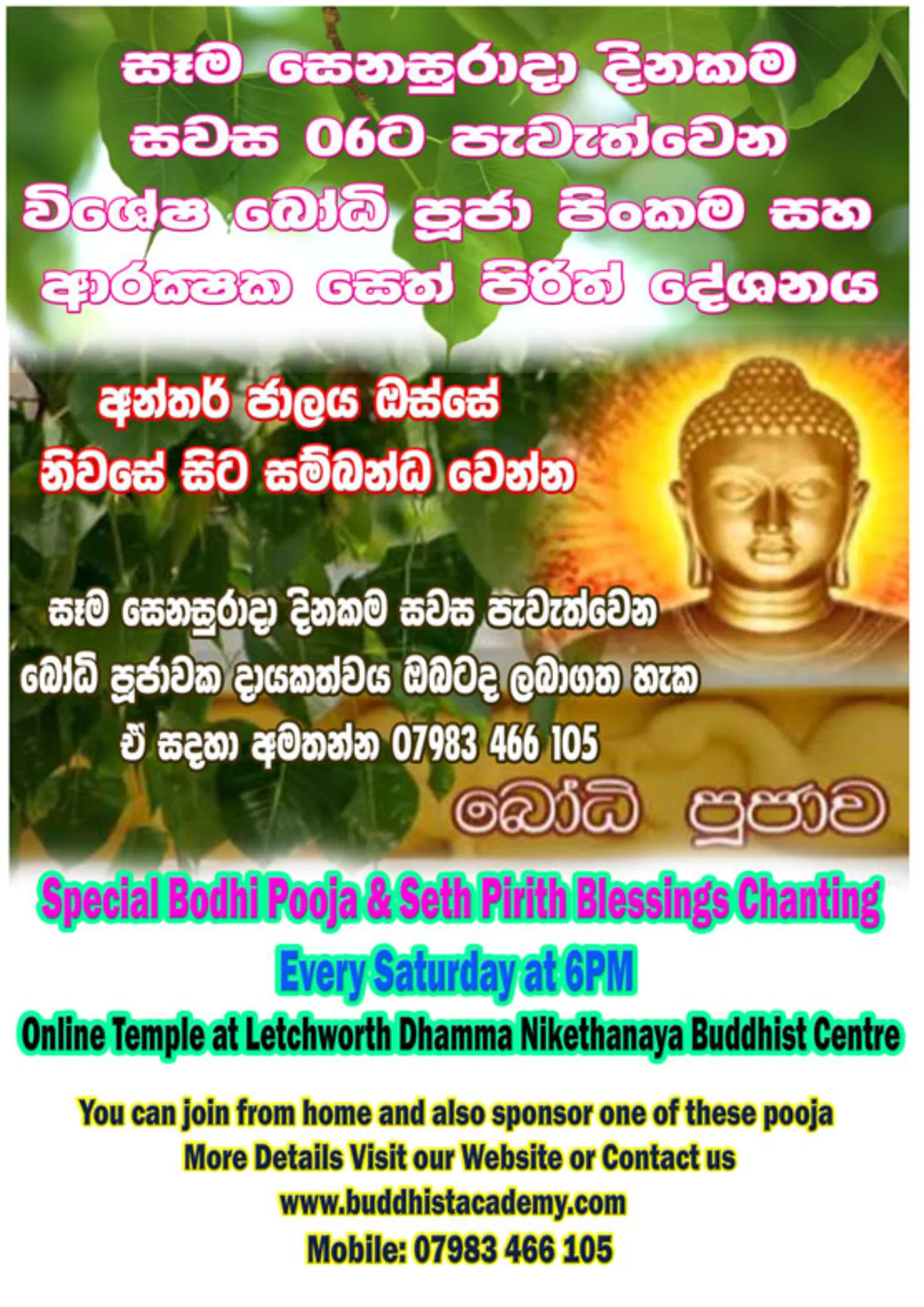 Evening Bodhi Pooja & Seth Pirith Chanting 4th February 2023