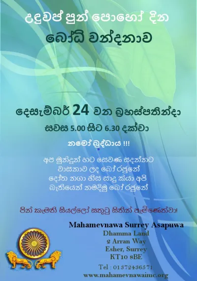 Bodhi Wandana Programme at Surrey Asapuwa
