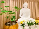 London Mindfulness Meditation Centre