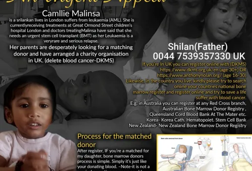 An Urgent Appeal for Camllie Malinsa