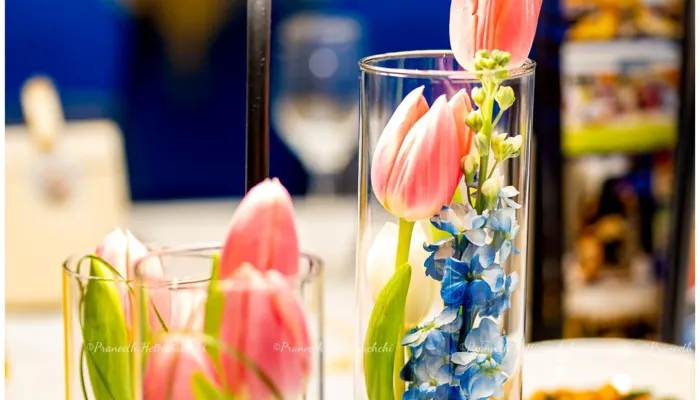 Mayans Tulip Gala Night 2026 