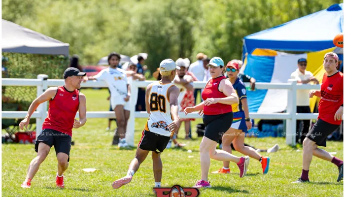 Festival of Rugby 2026