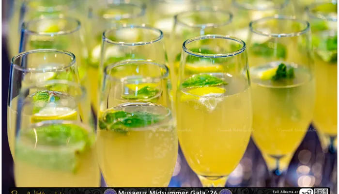 Musaeus' Midsummer Gala ’26