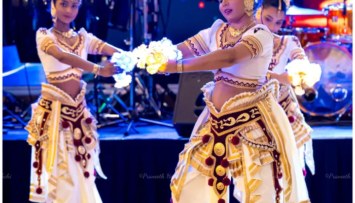 Musaeus' Midsummer Gala ’26