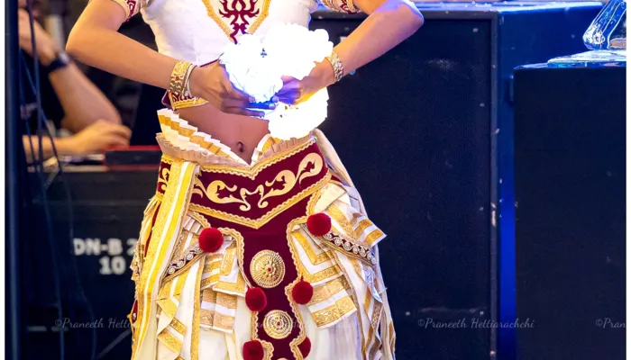 Musaeus' Midsummer Gala ’26