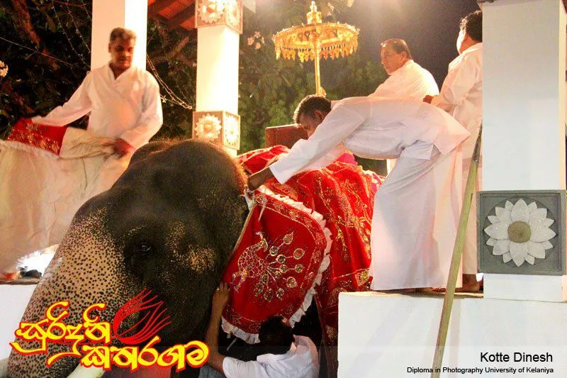 Kataragama Festival - සුරිඳුනි කතරගම