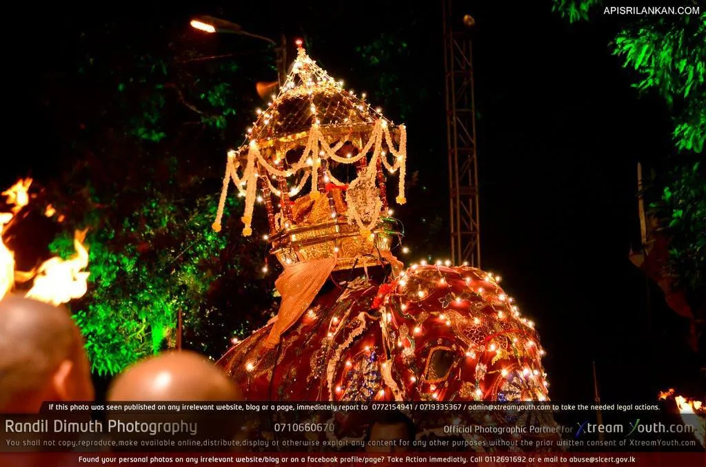 Kandy Esala Perahara 2013