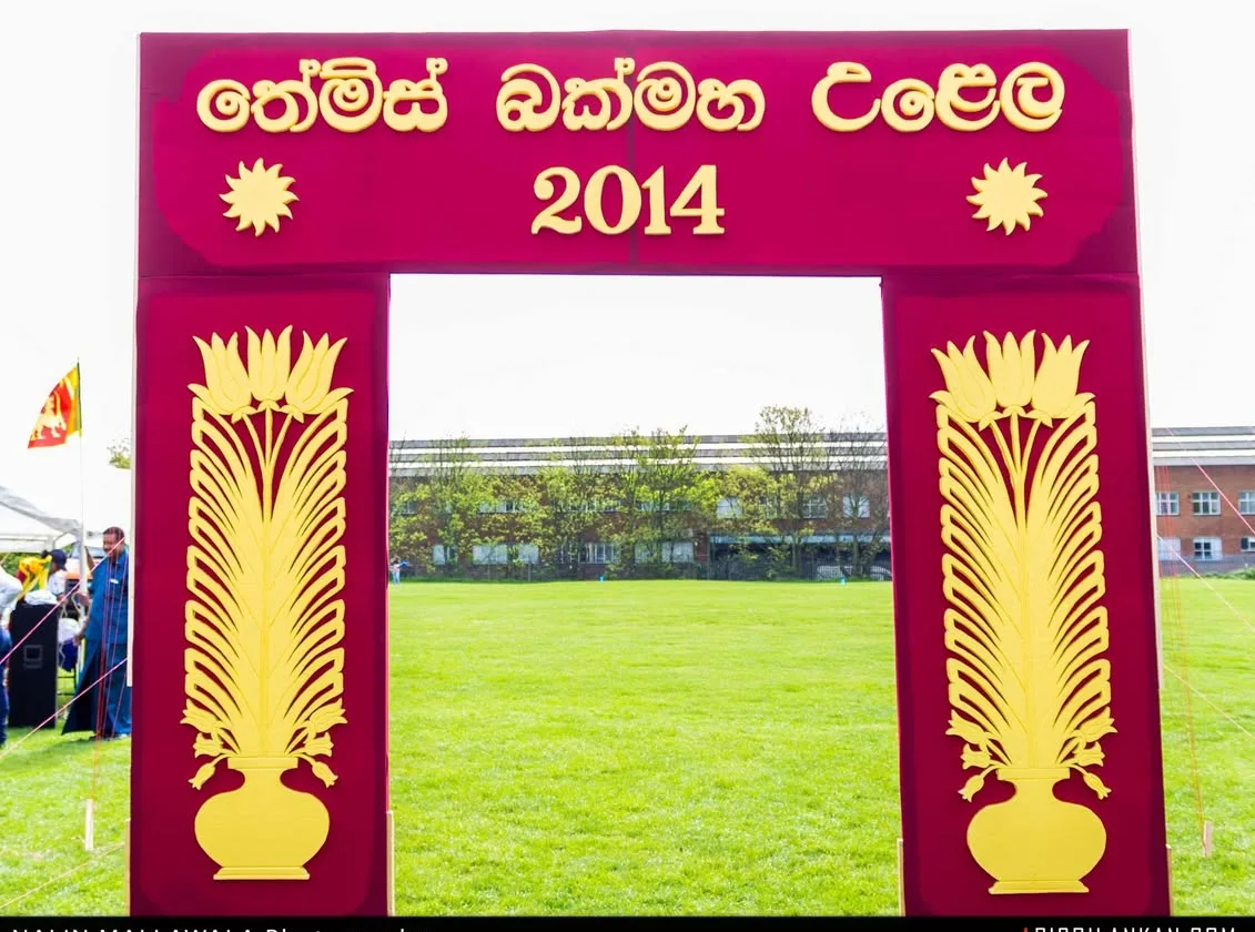 Thames New Year Festival & Cultural Show 2014