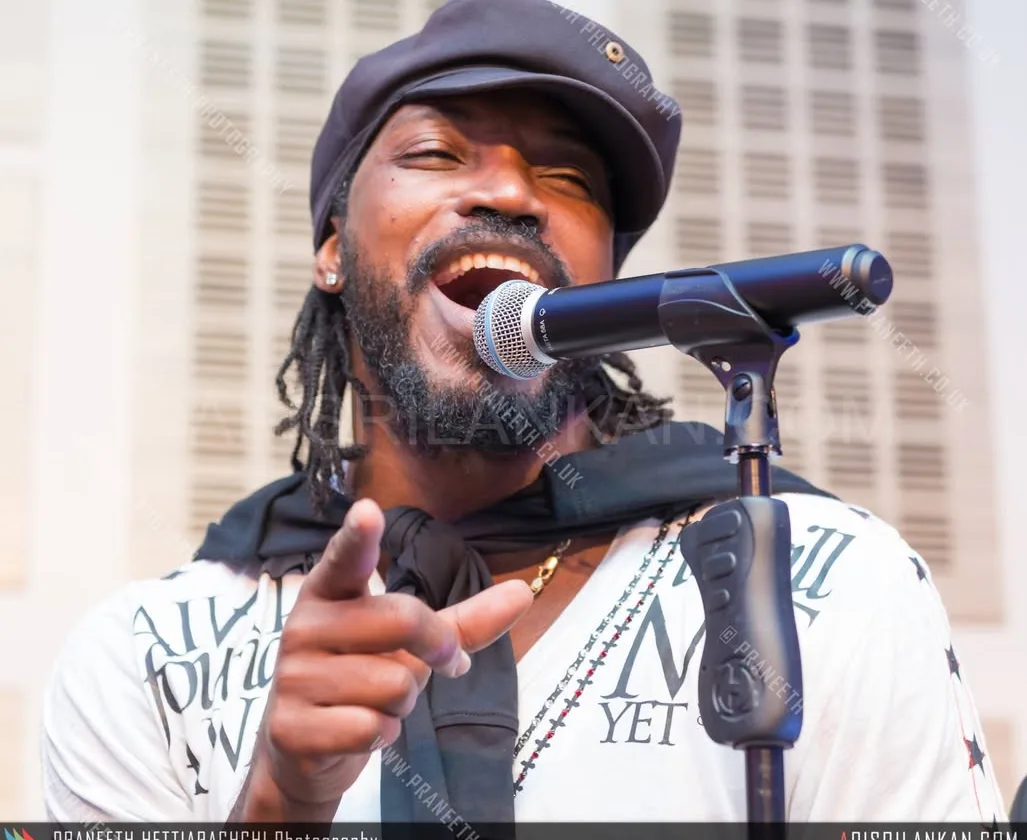 Cricket Ball 2014 in London