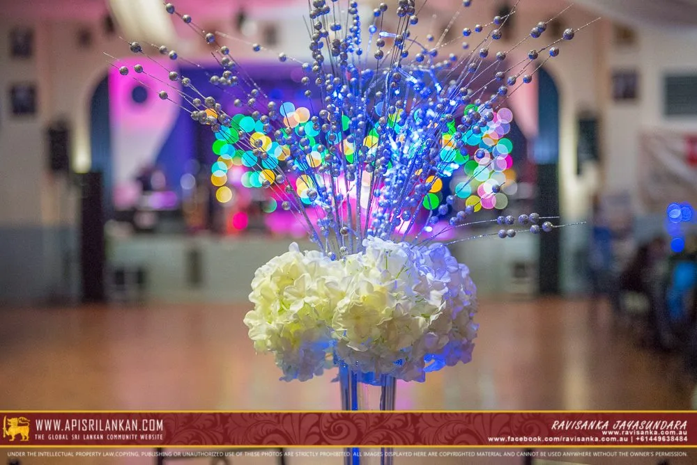 Dinner Dance 2015 with Hector Dias with D Major and Mariazelle Go