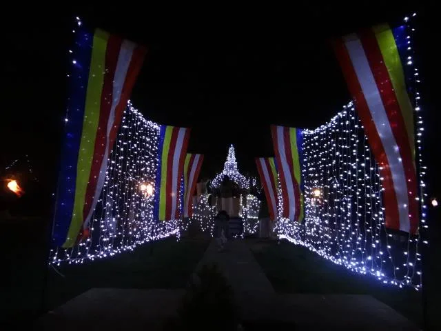 Mahamewna Wesak Celebration 2015