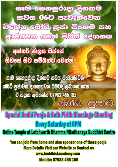 Evening Bodhi Pooja & Seth Pirith Chanting 18th February 2023