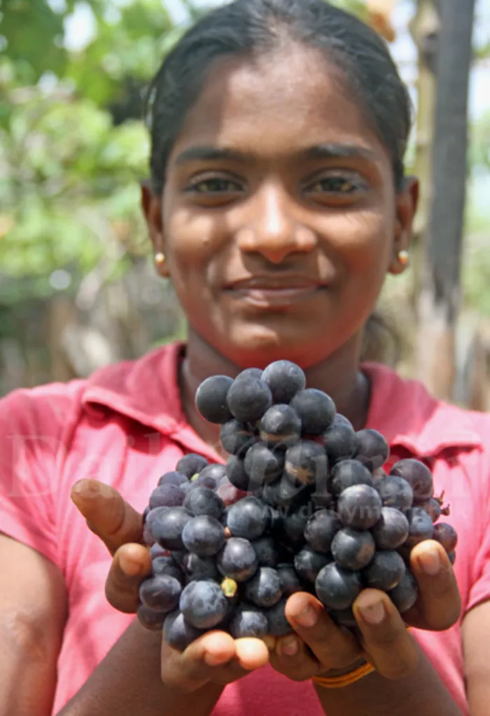 Aren’t they tasty?