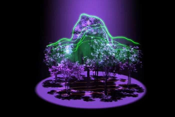 Nasa laser probe will map Earth's forests in 3D