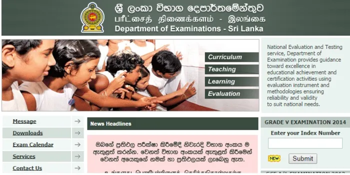 Grade Five scholarship winners