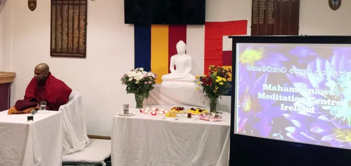 අයර්ලන්තයේ මහමෙව්නාව අසපු ශාඛාවක්